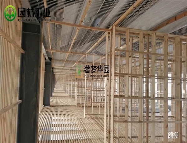 为何选择现代木结构建筑